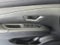 2027 Hyundai SANTA CRUZ SEL Activity
