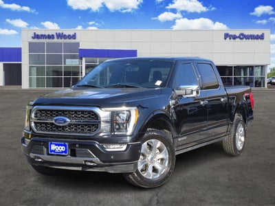 2023 Ford F-150 Platinum
