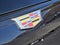 2023 Cadillac Escalade 4WD Sport Platinum